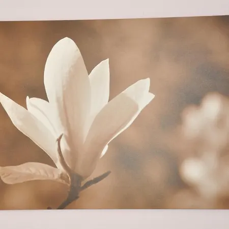 招待所 阿斯塔酒店 慕尼黑