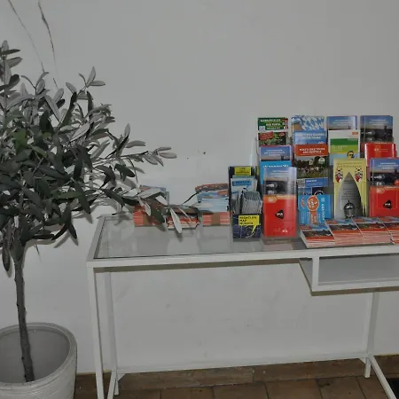 Hotel-pension Asta Guest house